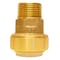 Apollo 3/4 in. Brass Push-To-Connect PVC IPS x 3/4 in. Male Pipe Thread Adapter FSBIPSMA34 - alternate 5
